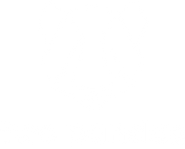 two pandas